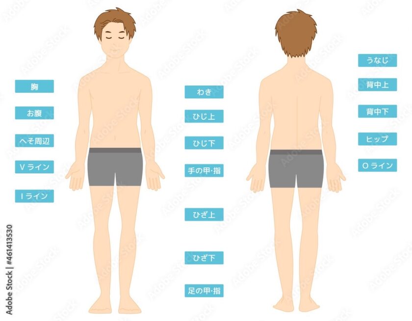 男性脱毛部位